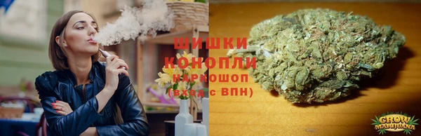 ГАЛЛЮЦИНОГЕННЫЕ ГРИБЫ Абдулино