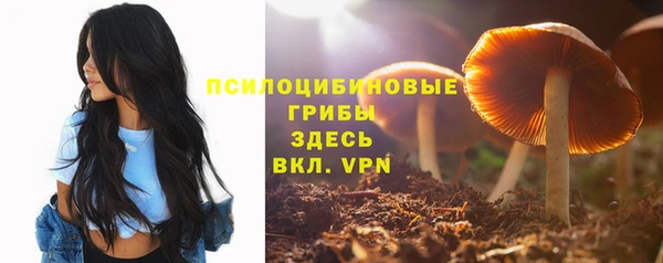 крисы Абаза