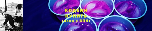 крисы Абаза