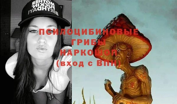 ГАЛЛЮЦИНОГЕННЫЕ ГРИБЫ Абдулино