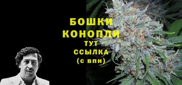 крисы Абаза